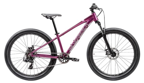 Silverback Spyke 26" Kids Bike Hopbush Purple